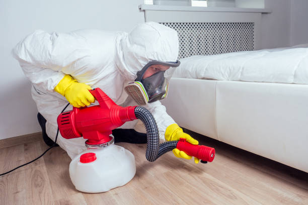 Best Fumigation Services  in Bloomingdale, IL